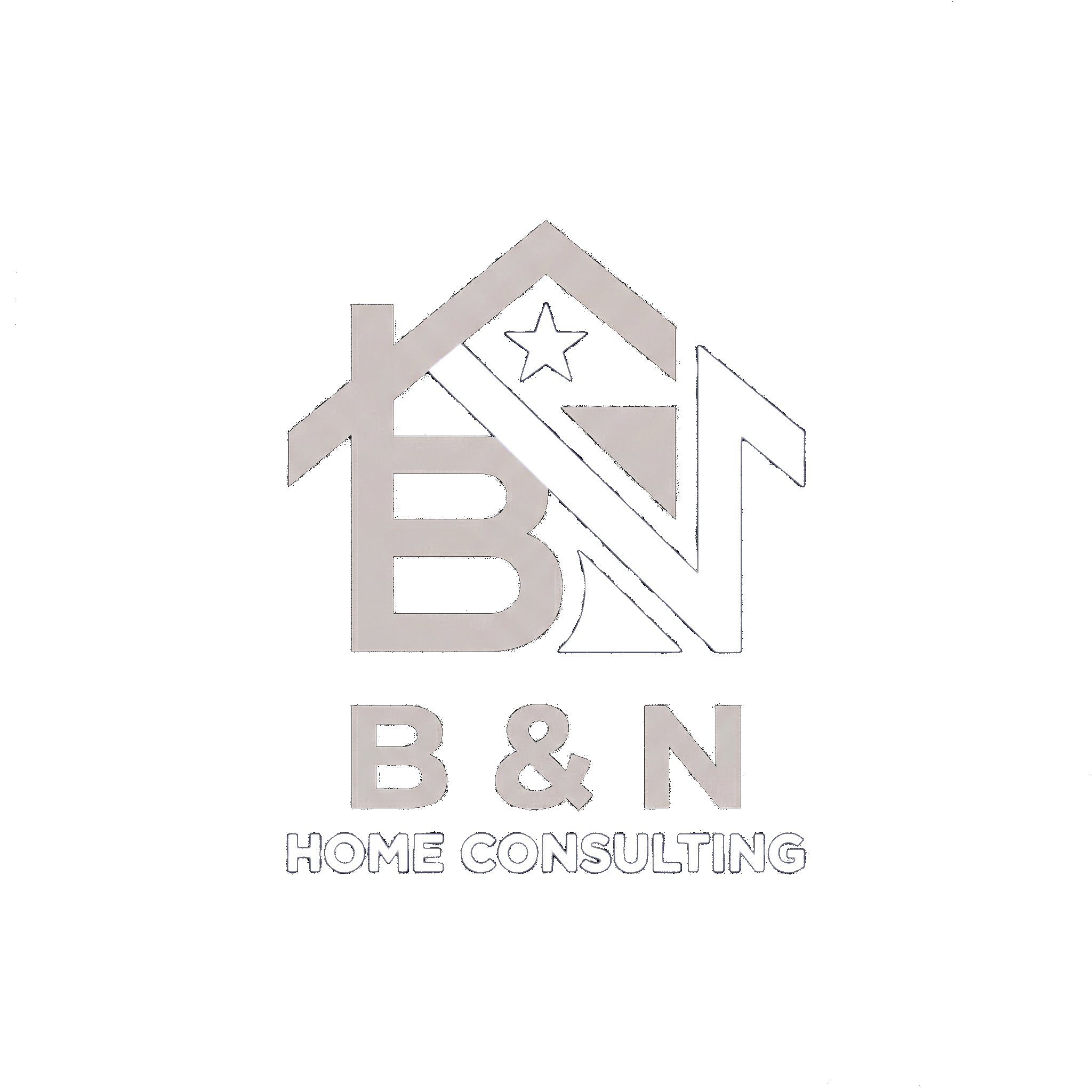 B & N Logo